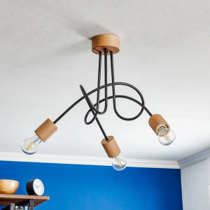 Ceiling Lamp